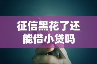 征信黑花了还能借小贷吗