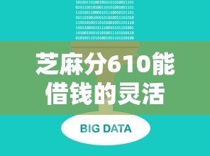 芝麻分610能借钱的灵活平台推荐