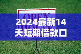 2024最新14天短期借款口子大全