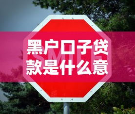 黑户口子贷款是什么意思解析