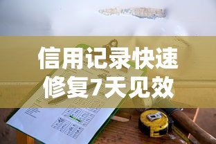信用记录快速修复7天见效指南