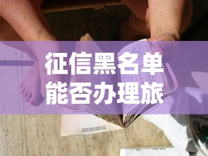 征信黑名单能否办理旅游签证