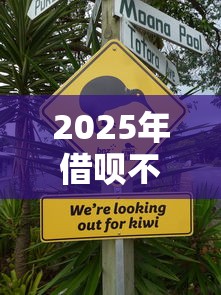 2025年借呗不上征信真相揭秘