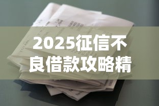 2025征信不良借款攻略精选 2025征信不良借款攻略精选