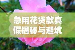 急用花贷款真假揭秘与避坑指南 急用花贷款真假揭秘与避坑指南