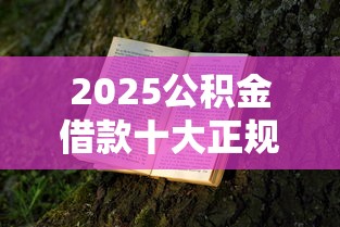 2025公积金借款十大正规渠道