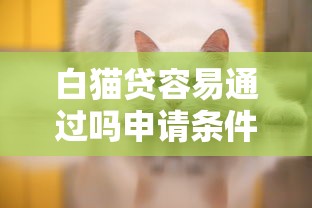 白猫贷容易通过吗申请条件解析
