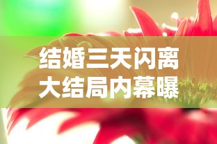结婚三天闪离大结局内幕曝光