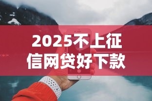 2025不上征信网贷好下款吗