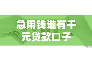 急用钱谁有千元贷款口子