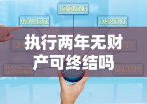 执行两年无财产可终结吗