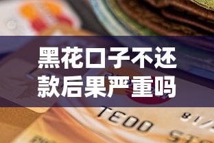 黑花口子不还款后果严重吗