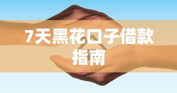 7天黑花口子借款指南