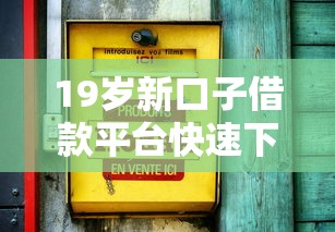 19岁新口子借款平台快速下款攻略