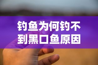 钓鱼为何钓不到黑口鱼原因