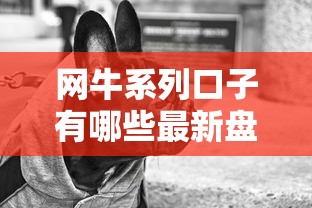 网牛系列口子有哪些最新盘点