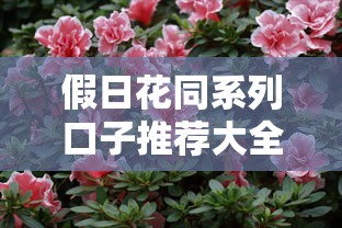 假日花同系列口子推荐大全