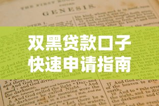 双黑贷款口子快速申请指南