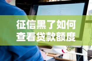 征信黑了如何查看贷款额度