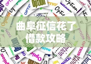 曲阜征信花了借款攻略