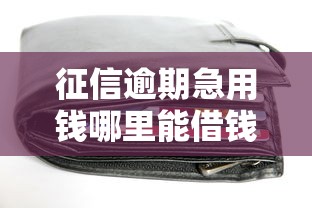 征信逾期急用钱哪里能借钱