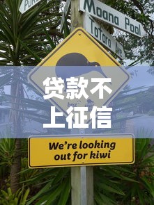 贷款不上征信靠谱吗安全吗