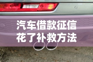 汽车借款征信花了补救方法大全