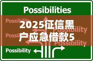 2025征信黑户应急借款5大渠道