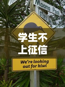 学生不上征信贷款渠道推荐