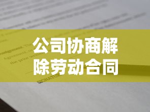 公司协商解除劳动合同技巧指南
