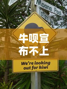 牛呗宣布不上征信引热议