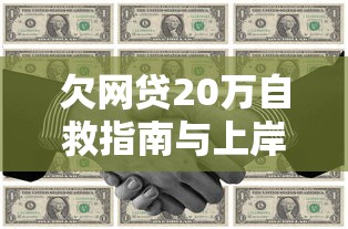 欠网贷20万自救指南与上岸攻略