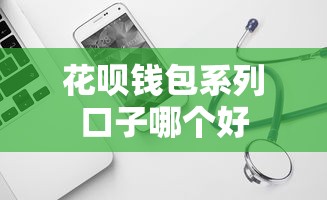 花呗钱包系列口子哪个好