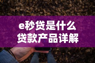 e秒贷是什么贷款产品详解 e秒贷是什么贷款产品详解