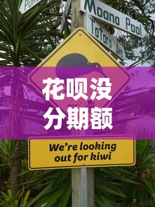 花呗没分期额度还能分期吗