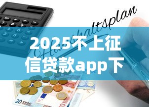 2025不上征信贷款app下载指南