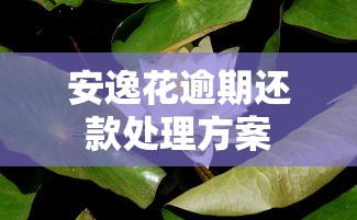安逸花逾期还款处理方案