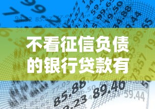 不看征信负债的银行贷款有哪些