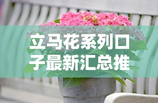 立马花系列口子最新汇总推荐 立马花系列口子最新汇总推荐