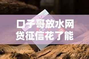 口子哥放水网贷征信花了能下款