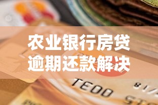 农业银行房贷逾期还款解决方案