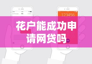 花户能成功申请网贷吗