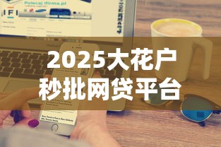 2025大花户秒批网贷平台推荐