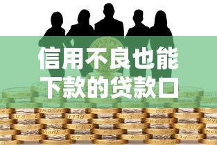 信用不良也能下款的贷款口子