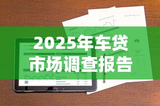 2025年车贷市场调查报告分析