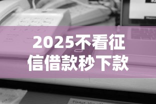 2025不看征信借款秒下款平台