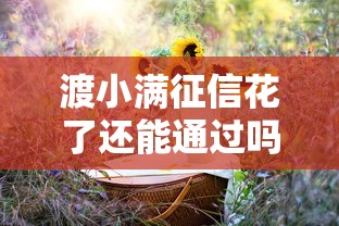 渡小满征信花了还能通过吗