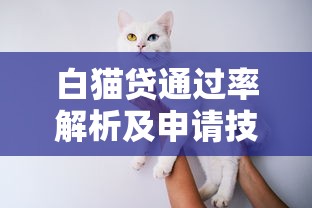 白猫贷通过率解析及申请技巧