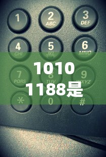 10101188是什么电话号码含义解析