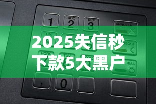 2025失信秒下款5大黑户口子